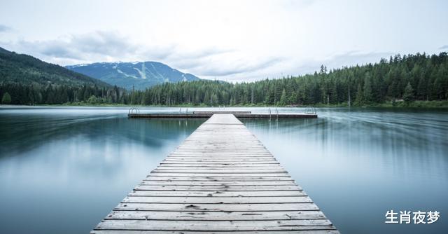 运势|8月，爱得坚定，追回旧爱，3生肖爱得耿耿于怀，始终期待破镜重圆