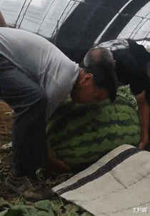 |“男生:看看女票葫芦里卖的什么药...”哈哈哈兄弟注意点影响啊!