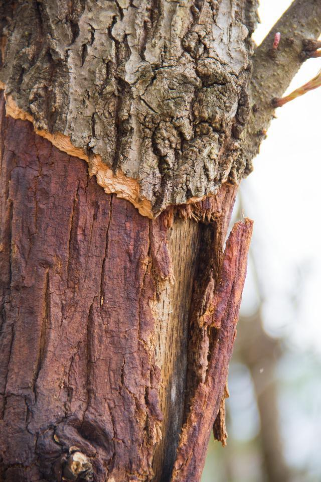 『』行走秦岭水泉沟：房都建在高高的山坡上，远看仙气很足，诗情画意