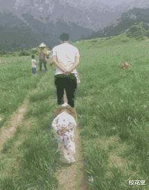 |妹子，你们头上戴着钢丝球在哪买的？哈哈