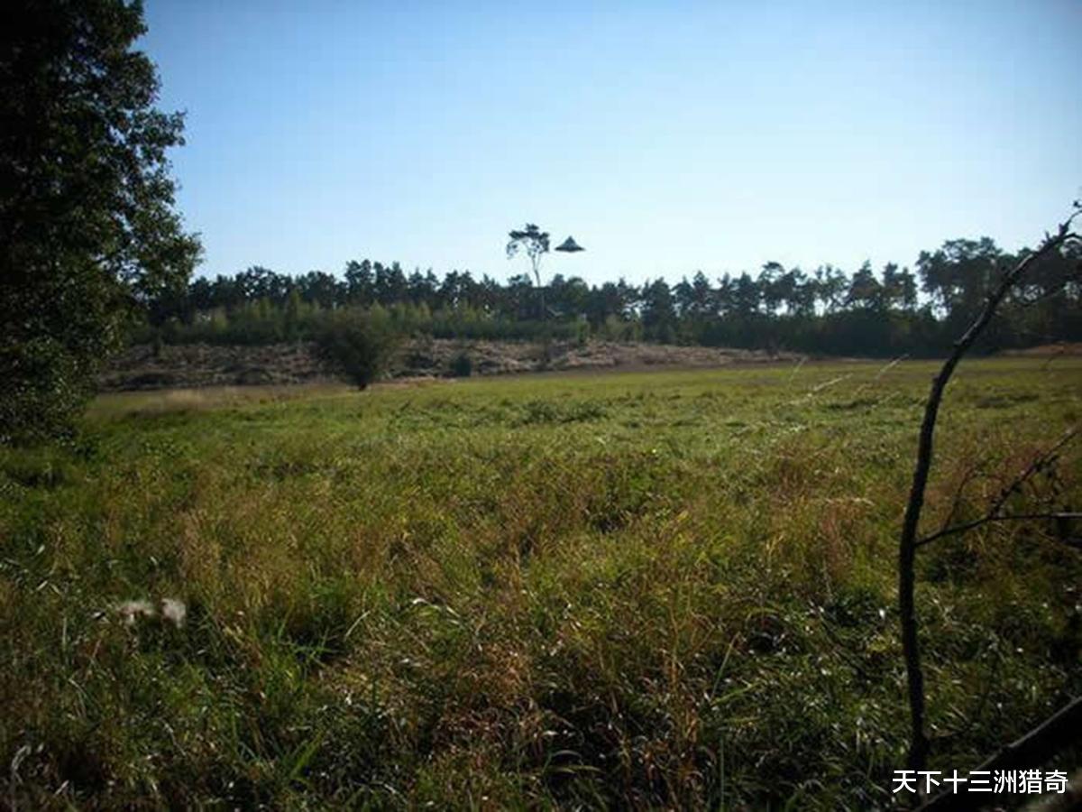 UFO|史上最清晰UFO照片易主?2014年,休斯顿市雨夜百人目睹UFO事件