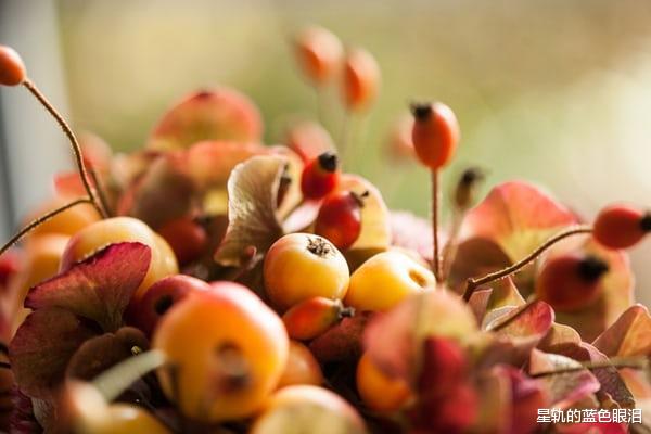 射手座|下半年如鱼得水的星座,贵人运爆棚,总能逢凶化吉