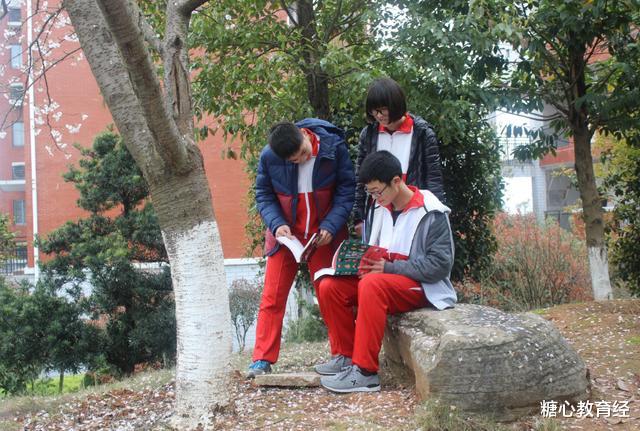 文言文|让中学生头疼的4篇文言文,毕业后还能背出来的,当年多半是学霸