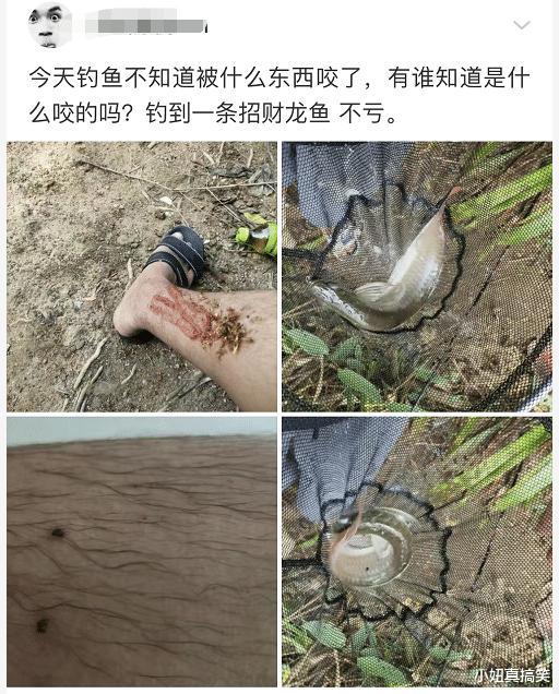 |“无意中在女同事车上发现的，是干嘛用的？”网友们内涵了...哈哈哈哈