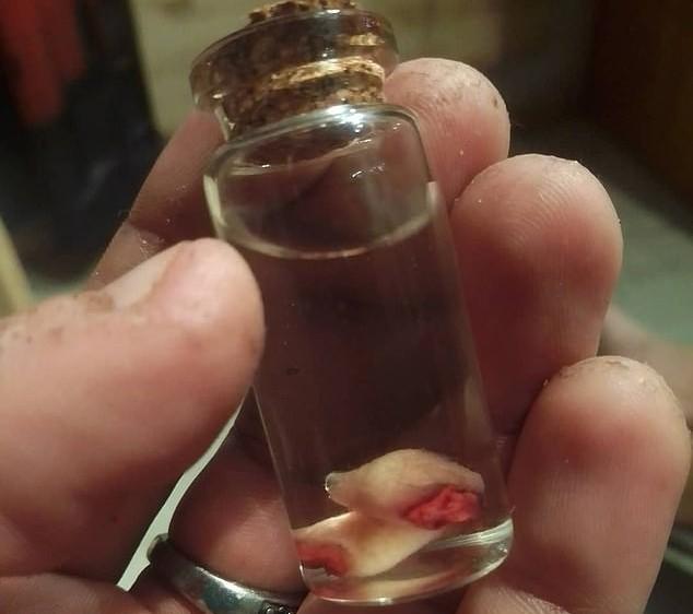 外星生物|脸上开了13个洞，看着都疼！意大利男子把自己改造成“外星生物”