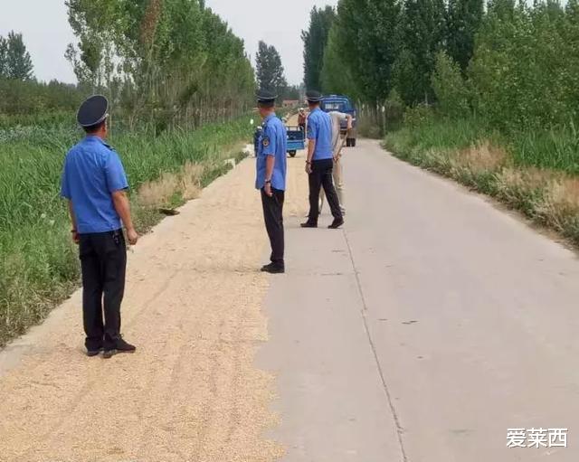 『民警』莱西市张某占道晒粮导致车祸,被判赔偿4万元