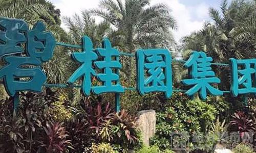 房企公布2019成绩单：前三超6000亿，第一碧桂园，万科成绩意外