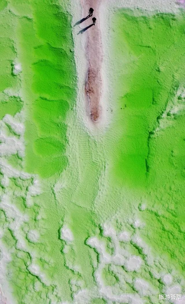 青海湖|青海流出的一组照片,让全世界都震惊了