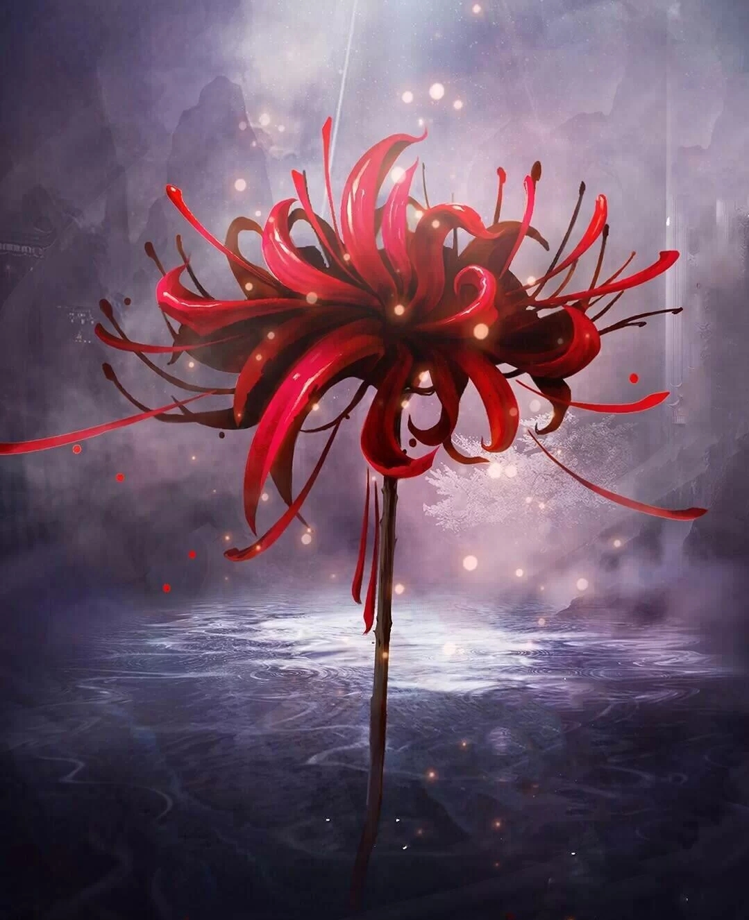 营收|越有钱越拍冒险