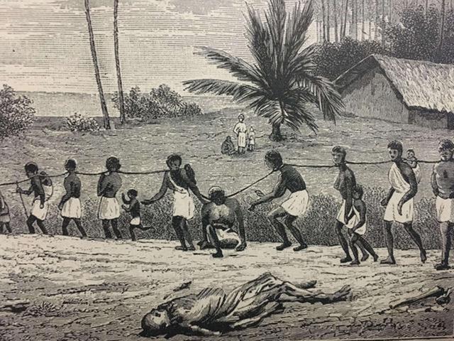 欧洲|女黑奴不会种地，为什么比男黑奴更贵，更抢手？