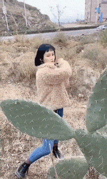 |什么动物既没有祖先，也没有子孙？哈哈哈神评居然能做到全国统一