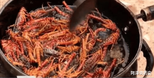 「」中国有多厉害？4000亿蝗虫逼近，中国派出“战斗鸡”，场面震撼！