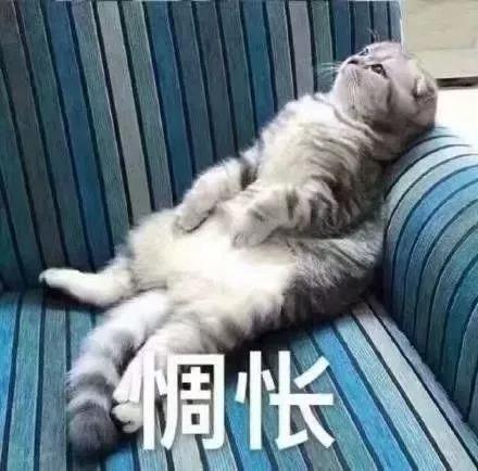 [法学]准考生如何选专业？大学最辛苦的6个专业可以选择，毕业有保障！