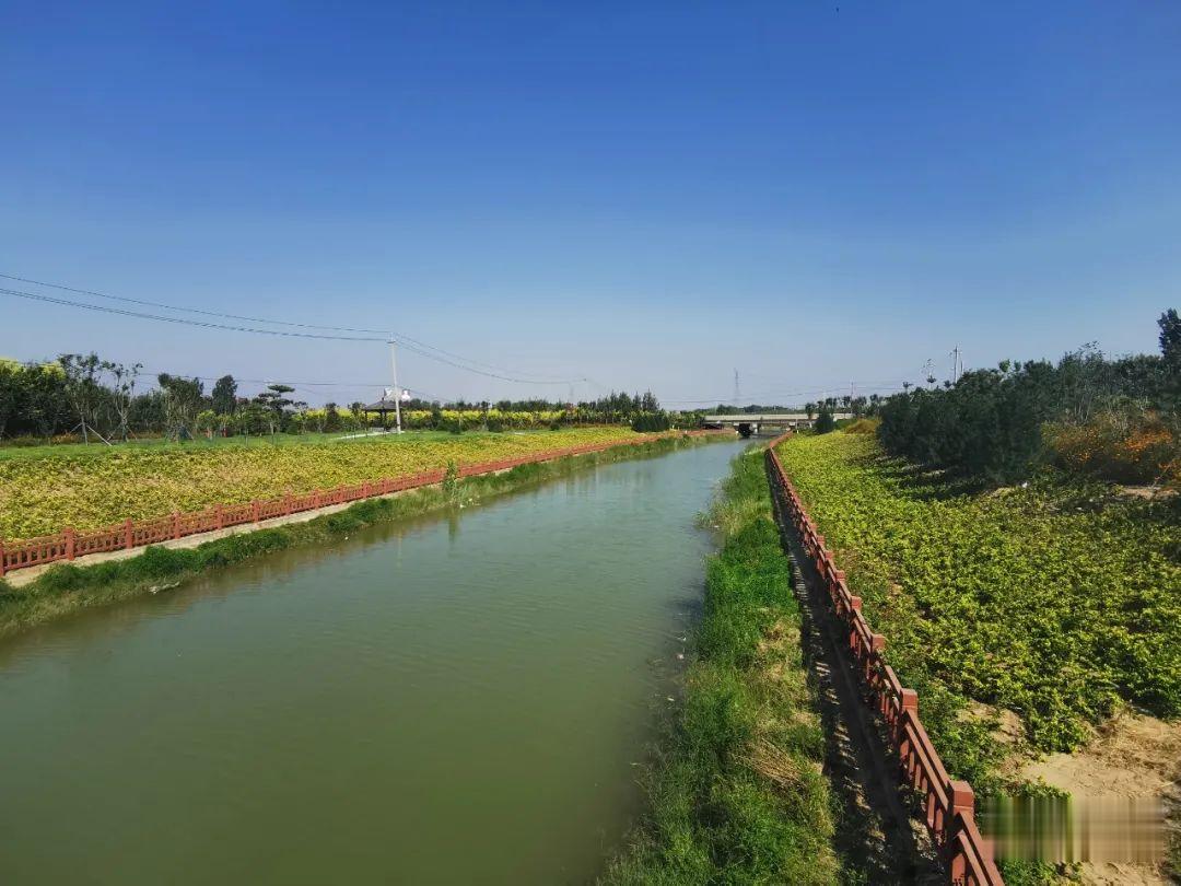 开封网|开封到黄河又多一捷径！快去骑行打卡啦！