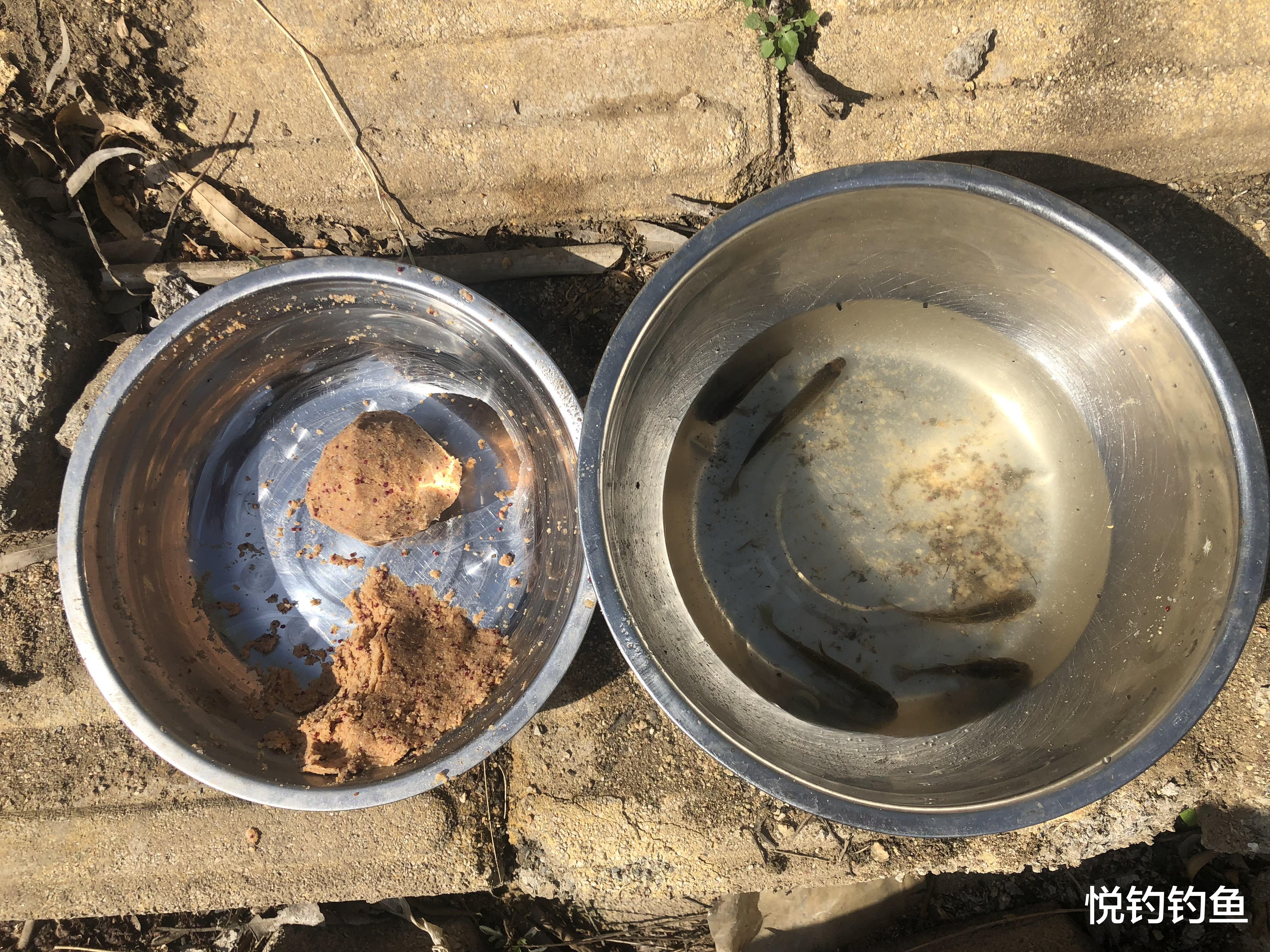 鲫鱼|钓鱼时候变化如此之多,也别忽略路上的风景……