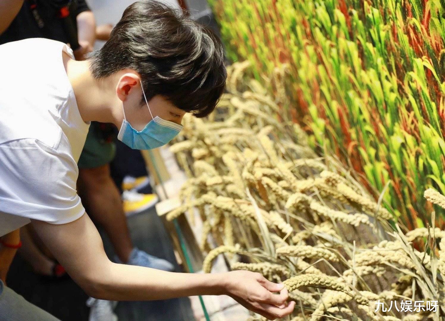 『肖战』肖战被“CCTV电视剧”官博点名表扬，跳出饭圈，他做到了