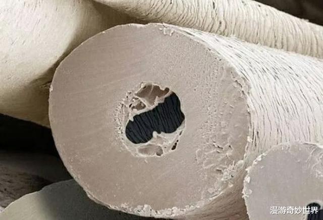 ：这些东西内部长啥样？25张照片揭示日常事物看不见的一面！