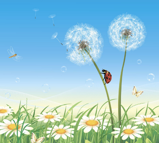 『水瓶女』进入5月天赐鸿运,4属相运势锦上添花,好运进家门,幸福绵绵