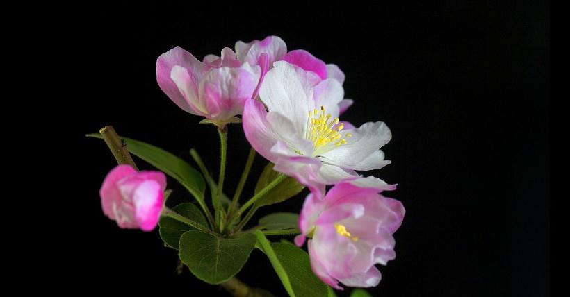 运势|10月开始，四生肖财运滚滚，贵人相助，注定富贵满堂