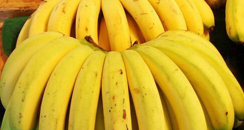 香蕉|才知道,原来这种香蕉不能买,水果老板自己都不吃,看完涨知识了