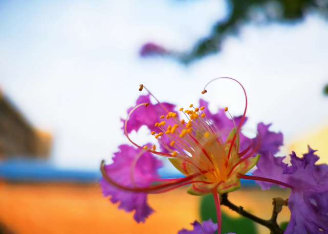 生肖|10月22号起福星高照，喜事财气来袭，日子一天好过一天的生肖