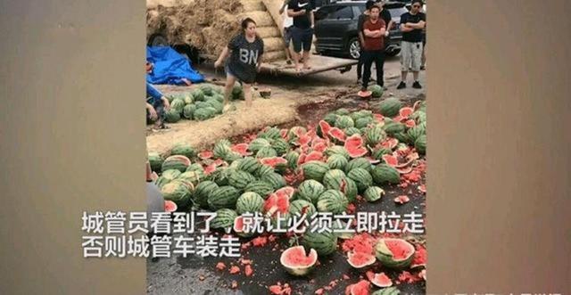 白鲸新视点|违规施工？城管手持钢管怒打脚手架上的人，群众劝阻也不听