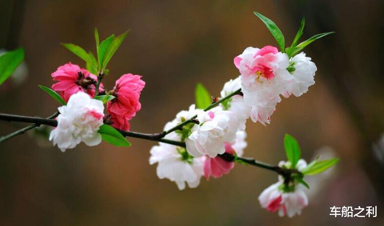 [生肖]7月2号，财源滚滚，好运加倍，3生肖一飞冲天，恭喜恭喜