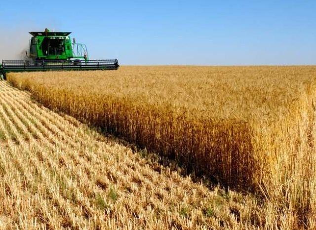 「澳洲」突发！中国禁止澳洲4大牛肉厂对华出口或对澳洲大麦征80%高额关税