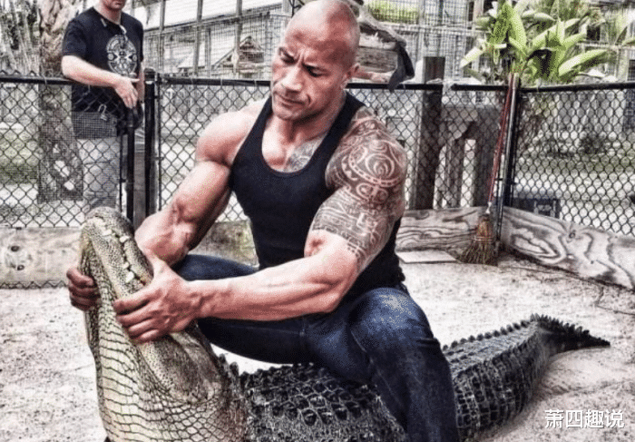 『道恩·强森』他从2岁开始拼命健身14年,被誉为“小巨石强森”,现在像“怪物”