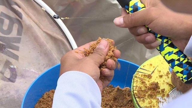 饵料|野钓：油脚是啥东西，怎么巧用更好发挥它们的诱鱼效果？