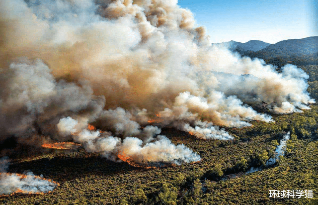 彗星|物种灭绝加速并且已经“发飙”?世界末日真的会来到吗?