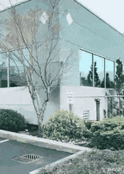 大学|这些奇葩歌词 , 困扰了我的小学直到大学 , 哈哈