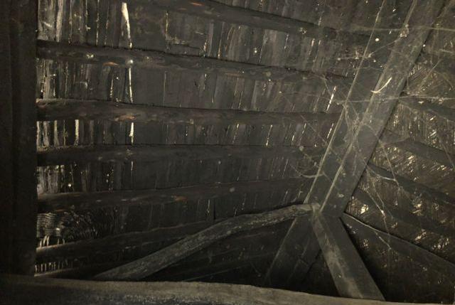 农技大讲堂 腊月除尘的来历:“腊月不除尘,来年招瘟神”,还与送灶有关