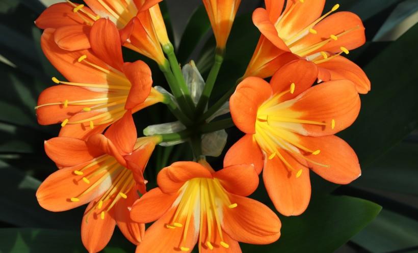 天蝎座|未来七天,四星座爱情财运双丰收,过得越来越顺心,越来越有盼头