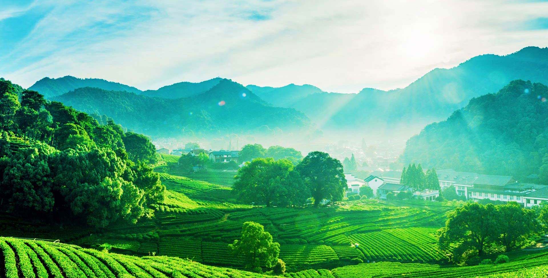 勇哥读史|福建人喜欢喝茶胜于喝酒，喝茶时还充满仪式感