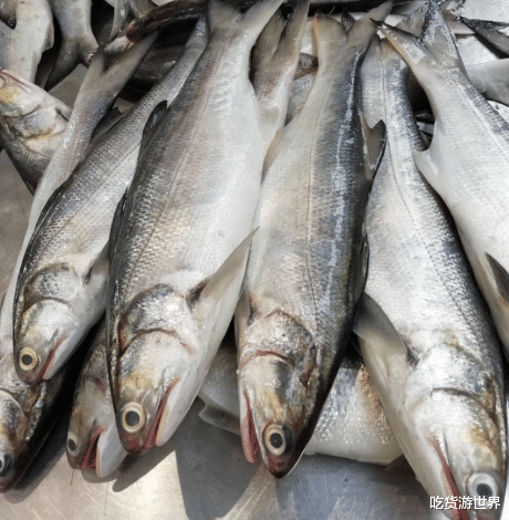 |这种鱼是中国特产，只有中国才有，鱼肉鲜香味美，堪称最好吃的鱼