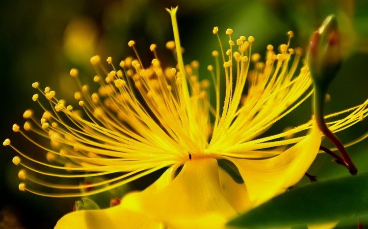 天蝎座|下个月起,在追求爱情的路上,他们相遇真爱,怦然心动的4大星座