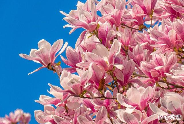 『双子座』两周后,一往情深,痴恋旧人,3星座情缘未断,携手共度红尘