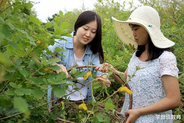高校|高校名称误导考生，导致错报志愿？教育部终于出手了！考生和家长：早该如此