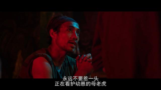 []十部拳拳到肉的动作片，你看过几部？