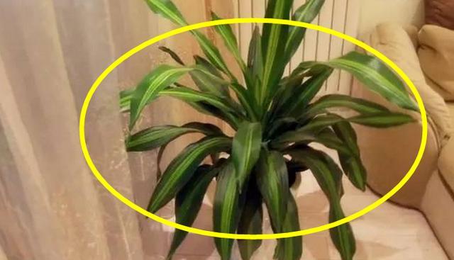 『留神』一旦空调对着这些地方吹,再有钱也会变贫穷,装空调要留神