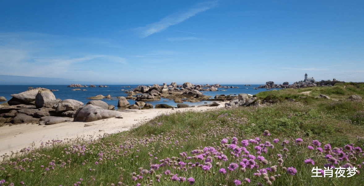 生肖|11月，此3生肖爱情圆满，不负深情，偏爱是你，心心念念忘不掉的也是你