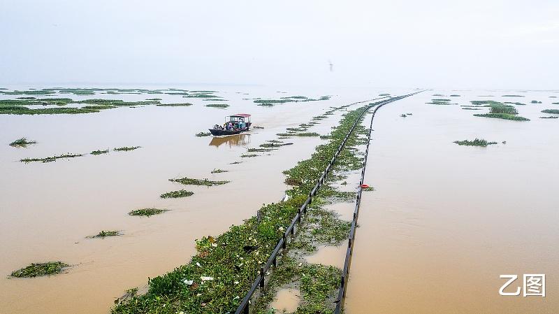 乙图|长江告急：长江水文局发布洪水红色预警，鄱阳湖水位超1998年
