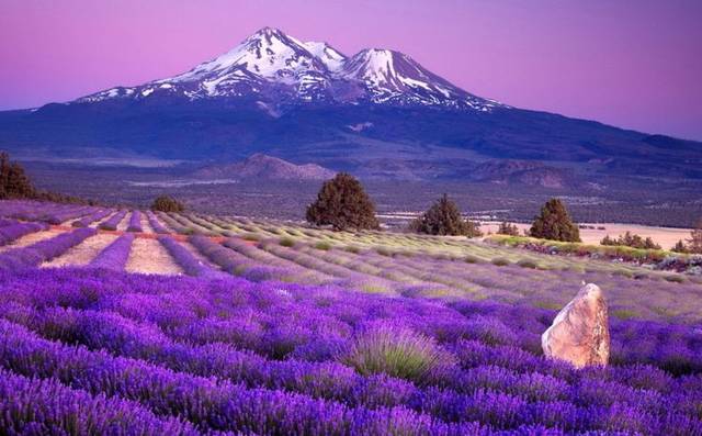 [运势]未来一周，财富翻番，3属相运势飙升，事业不断晋升，熬到头了