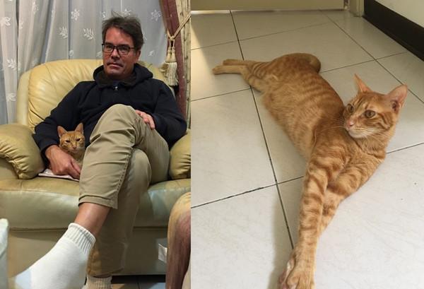 主人出门忘打招呼，回头一看，窗边两只“猫咪怨灵”眼神哀怨