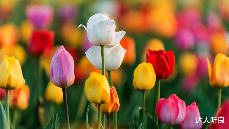 运势|9月开始财源大开,运势逆转,有贵人指点,苦尽甘来的4大生肖