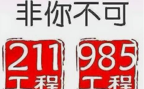 高校|在中国拥有“985、211”学历,到底能值多少钱?