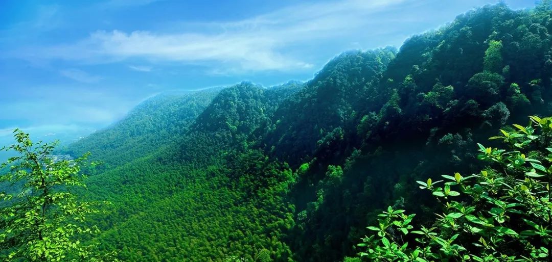 新年特惠！买永川高品质洋房！就在学校附近~