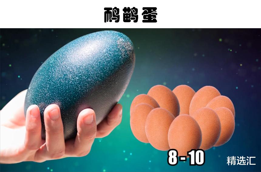鸡蛋|在这个世界上被发现的8种最为奇怪的蛋