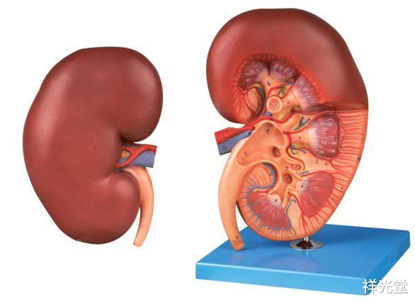 肾病@肾病不要拖,吃饭若有3种“异常”,很可能是尿毒症要“上门”